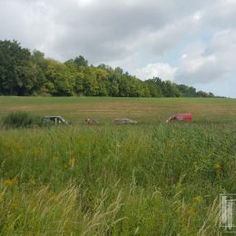 Badania polowe na trasie przebiegu planowanej obwodnicy Nałęczowa